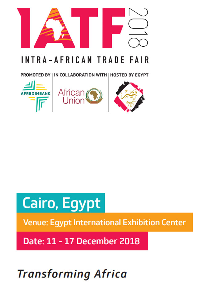 HQPA - Hội chợ thương mại nội bộ châu Phi lần thứ nhất (IATF 2018)